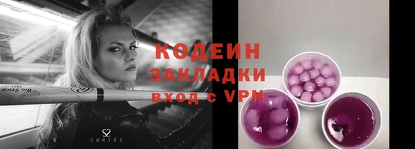стафф Ельня