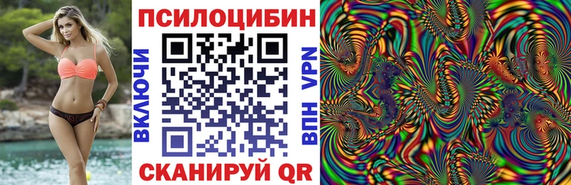 Псилоцибиновые грибы Psilocybine cubensis  Купить  Рославль 